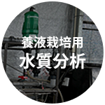 養液栽培用水質分析