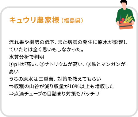 キュウリ農家様（福島県）